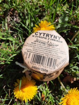 Cytryny w syropie z imbirem- Spiżarnie Jana 245ml